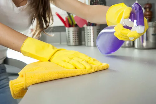 How to Sanitize Your Kitchen and Prevent the Spread of Germs