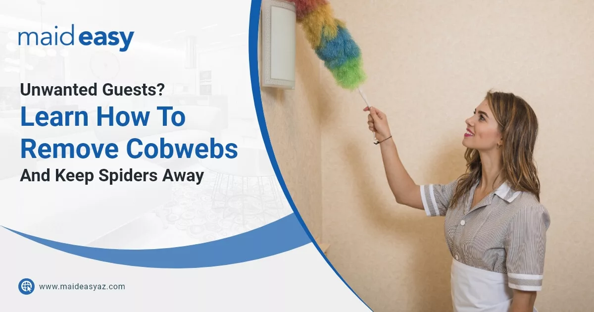 Unwanted Guests? Learn How To Remove Cobwebs And Keep Spiders Away